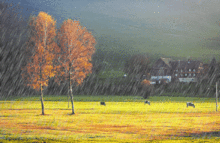 夜鸟啼鸣,探寻宁静夜晚的神秘旋律