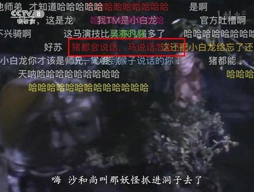 绑定弹幕我带儿女走向幸福人生,携手子女共筑幸福人生之路