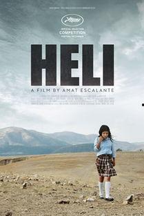 赫利 2013,揭秘年度科技巨头的创新与突破